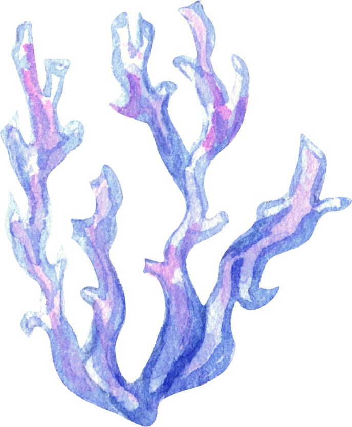 watercolor sea weed